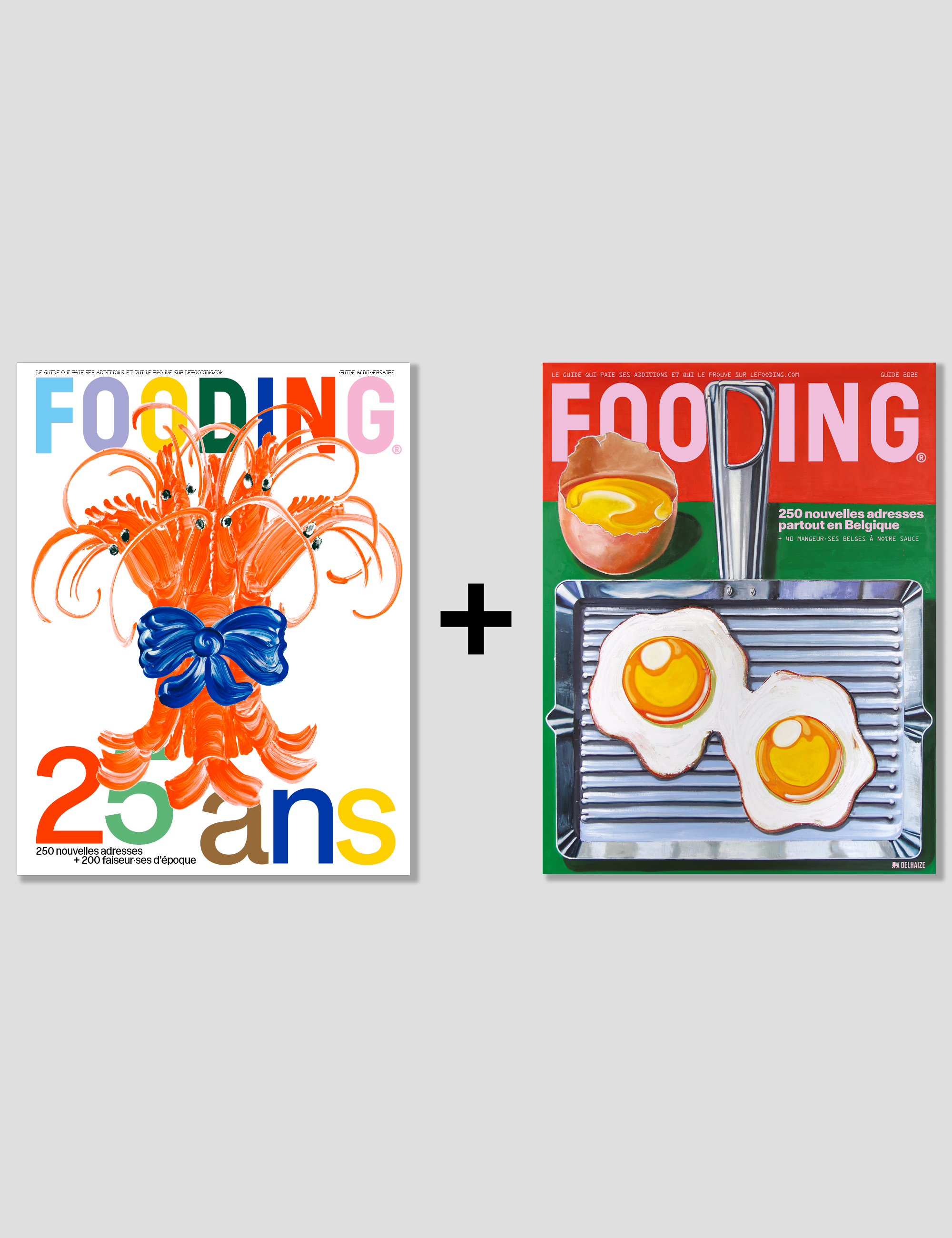 LOT NOUVEAU GUIDE FRANCE + NOUVEAU GUIDE BELGIQUE